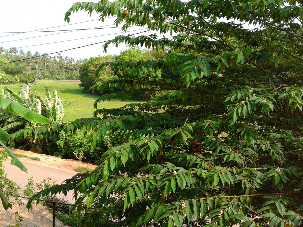Green View Guest มิริสซา ภายนอก รูปภาพ